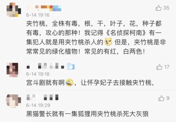 女孩和花合影中毒,网友:安陵容的话要信……