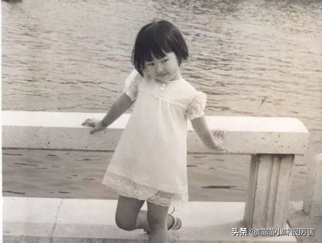 被誉为中国第一美女,与法拉利总裁谈恋爱,朱珠到底靠什么?