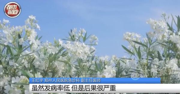 女孩和花合影中毒,网友:安陵容的话要信……