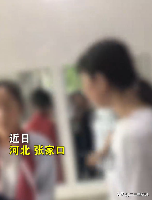 河北3女孩厕所内多次掌掴围殴一女生,官方:已对打人者治安行政处罚