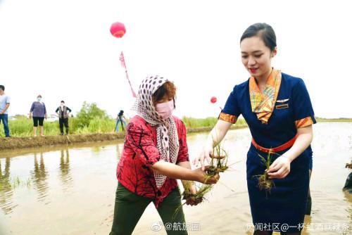 身着靓丽制服的青航空姐空少下地插秧,你怎么看?