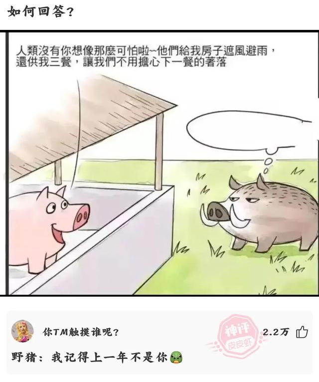 冷笑话(一)