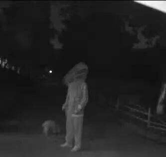 杭州一女子被狗咬,发飙咬上了狗主人