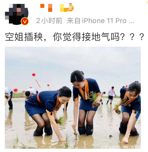 身着靓丽制服的青航空姐空少下地插秧,你怎么看?