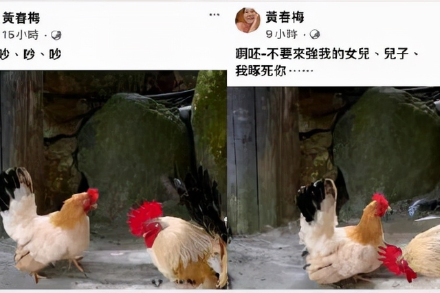 是爱是冲动还是恋爱脑!2次闪婚的大S,又掉坑了