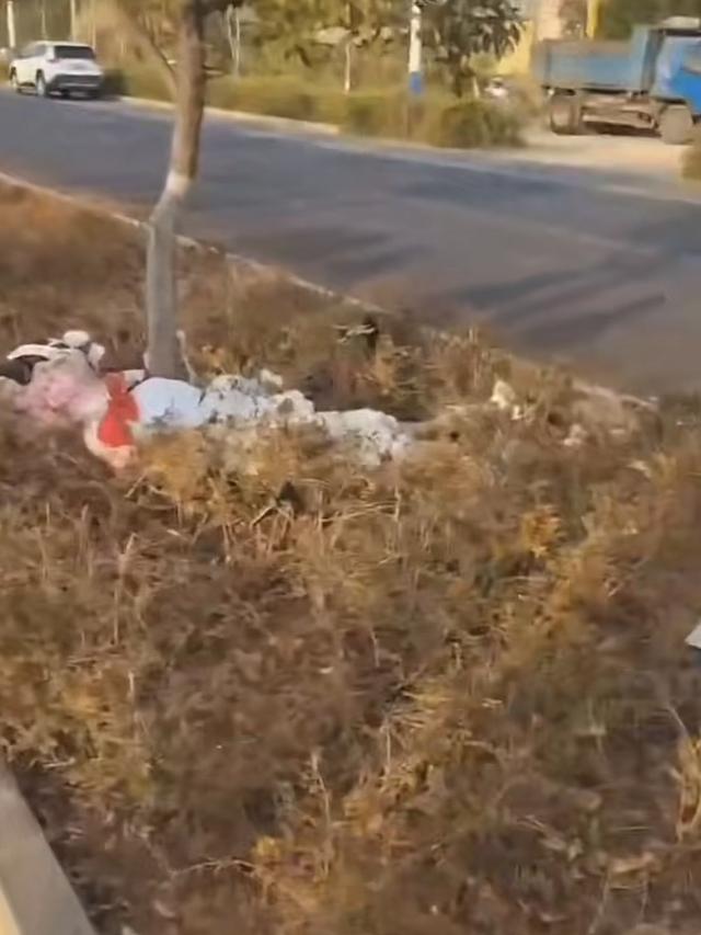 又有美女网红骑手车祸去世!现场一片狼藉好惨烈,生前不听人劝阻