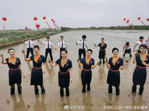 身着靓丽制服的青航空姐空少下地插秧,你怎么看?