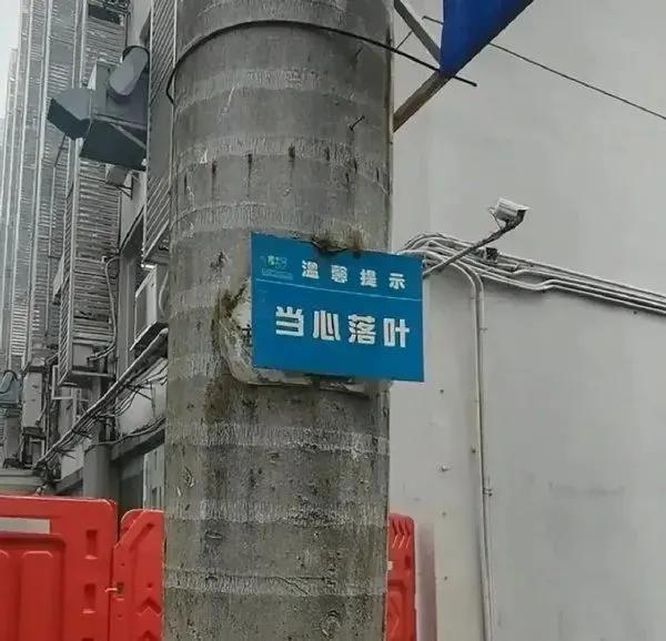 冷笑话(一)