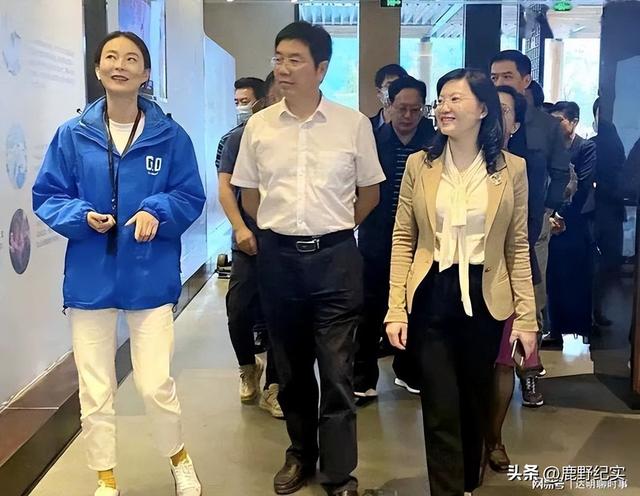 “美女厅官”段颖:搞权色交易,35岁官至副厅级,被查后拒不认罪
