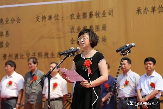 美女市长杨晓波:敛财1400万,陪睡42名高官,被捕时跪地求饶