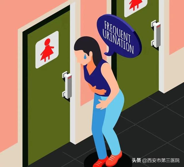 女性健康|为何女性也会尿频?