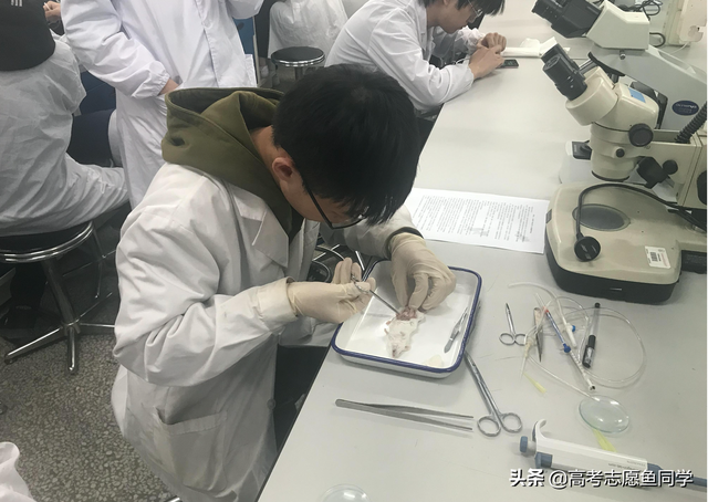 适合本科女生报考的8大专业,不一定都很好就业,但工作稳定性高