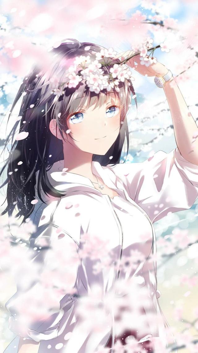 二次元美少女集合!我没有被附身,我得了一种叫做好奇心的热病