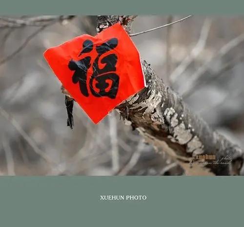 陈志林:小村年味