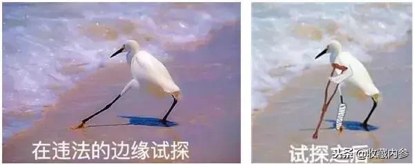 让D&G道歉,是因为中国人太自卑?