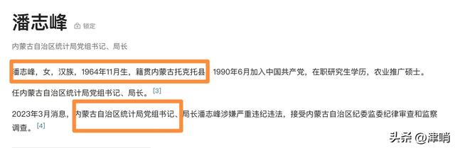 内蒙正厅级“美女局长”被查,超“完美”履历,信息量有些大