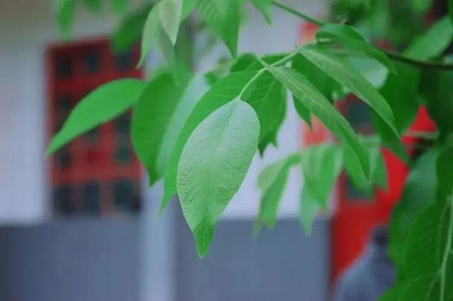 湖南少妇每月10次带流浪汉回家发生关系,丈夫死不离婚