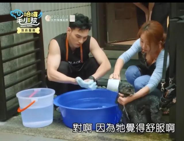 台综女星给狗洗澡,却被频繁拍胸部,画面多次走光,网友:故意的