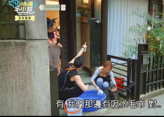 台综女星给狗洗澡,却被频繁拍胸部,画面多次走光,网友:故意的