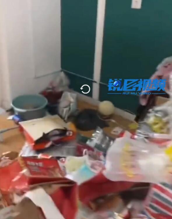 “这是女孩子住的房间?”女租客房间里垃圾成堆无处下脚震惊房东