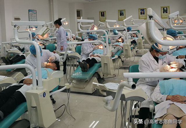 理科女生:适合报考的8大专业,就业率高,发展前途也很不错