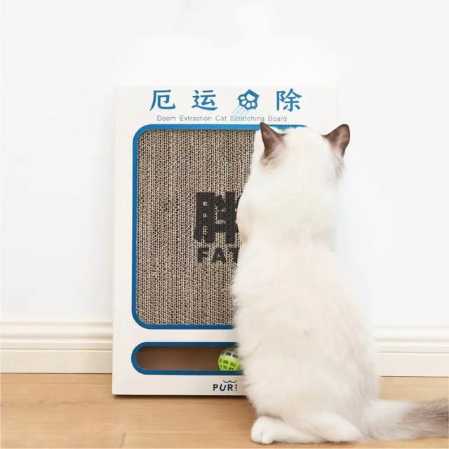 实不相瞒,我们这些养宠人士很想收到这样的礼物!