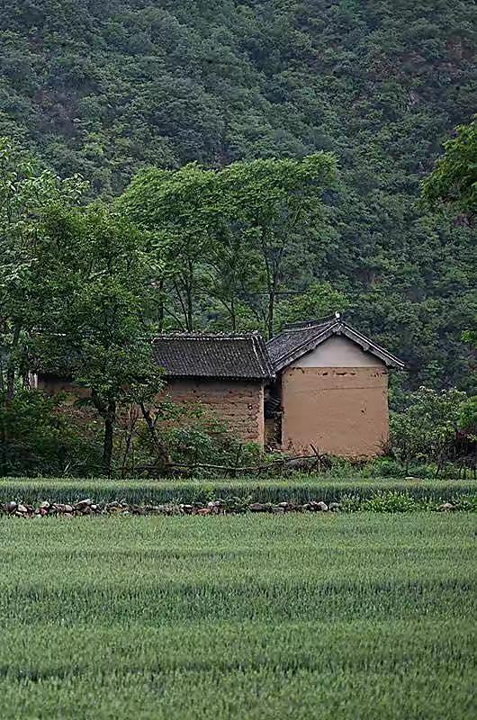 26岁云南农村美女,父母离婚后她当过保姆,靠维修机电涨粉800万