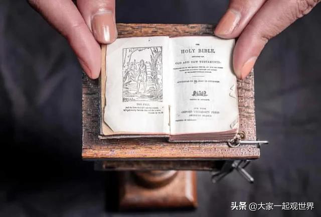 45张真实照片:日本貌美如花的黑帮女老大,完整的人类神经系统