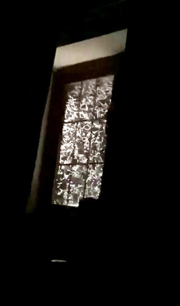 英美女被吵醒,见恐怖景象受惊尖叫:成千上万蚊虫密密麻麻钻屋内
