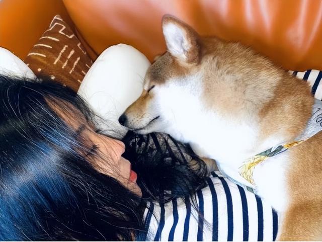 实不相瞒,我们这些养宠人士很想收到这样的礼物!