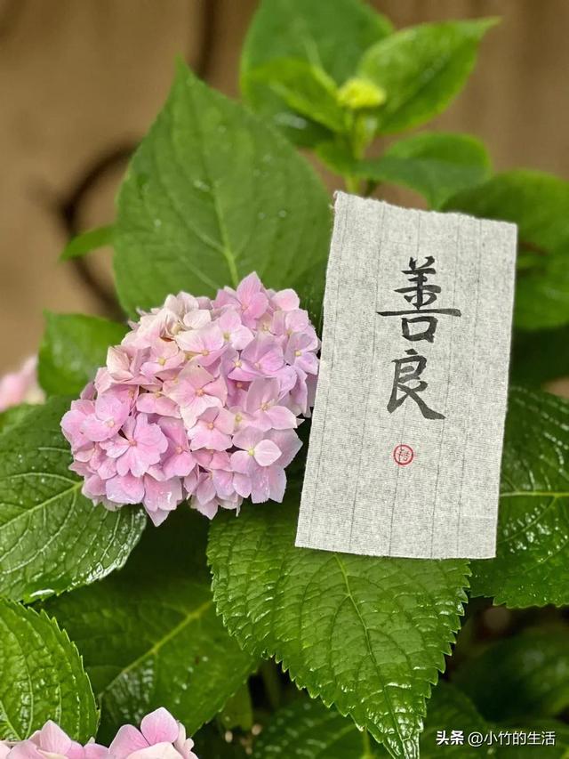 好女人5大标准,你的那位占了几条呢?最后一条很少有人能做到