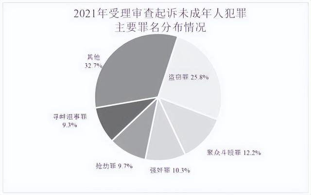 未成年人检察工作白皮书(2021)