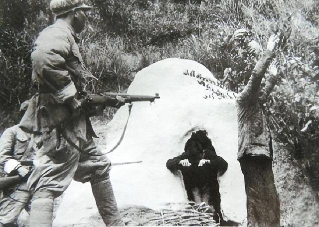 1953年贵州抓获一美女土匪,被捕后无人敢处决,毛主席当场释放