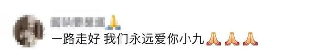 抗癌女孩“霍九九”,一路走好