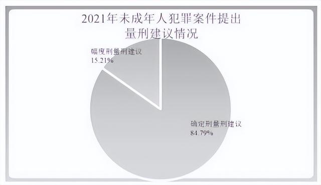 未成年人检察工作白皮书(2021)