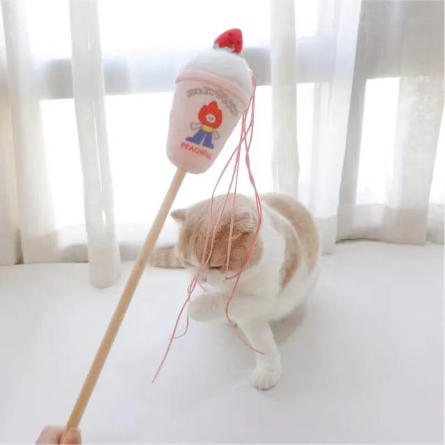 实不相瞒,我们这些养宠人士很想收到这样的礼物!