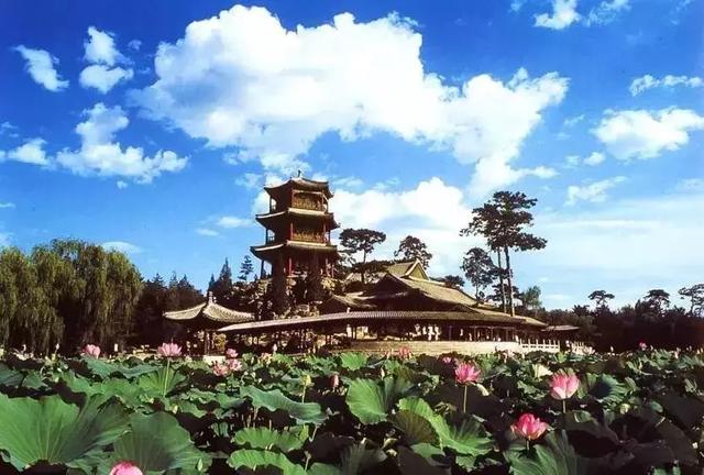4大名妓,4大美女,4大才子,4大才女,太全了!涨知识了