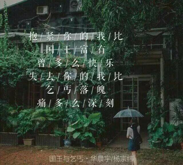 「音乐」是否有一首歌,唱进了你的心?