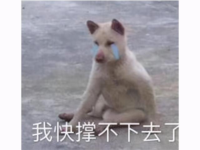 黄图警告!赛博朋克2077上次跳票引发30万退款,这次又来?
