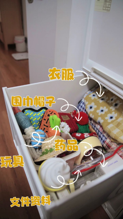 实不相瞒,我们这些养宠人士很想收到这样的礼物!