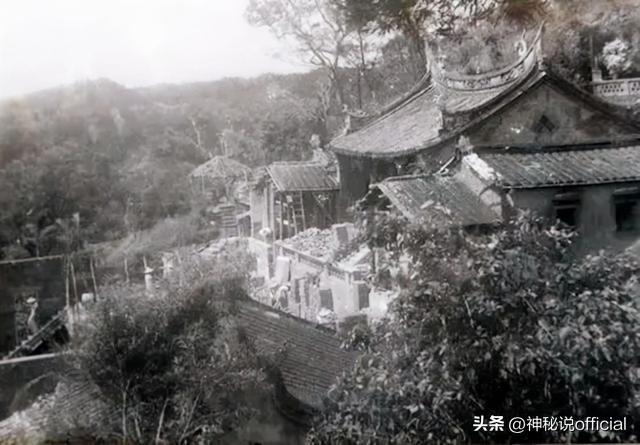 中国美女飞贼宋莲萍,独门轻功无人能敌,六米高台一跃而下