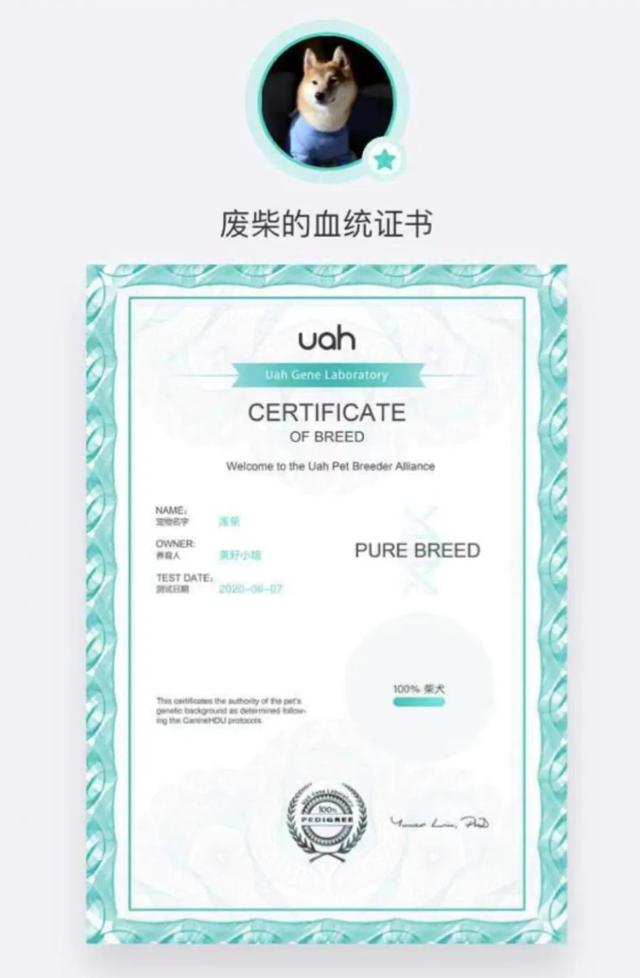 实不相瞒,我们这些养宠人士很想收到这样的礼物!