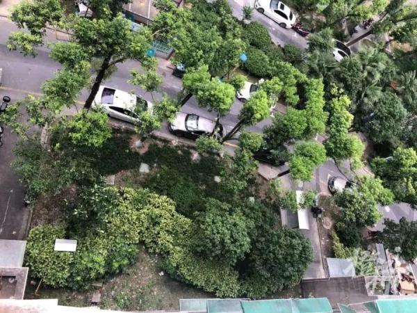 现场监控曝光!5岁小女孩独自在家从7楼坠落,爬起来走了段路求邻居奶奶抱抱