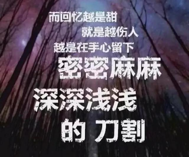 「音乐」是否有一首歌,唱进了你的心?