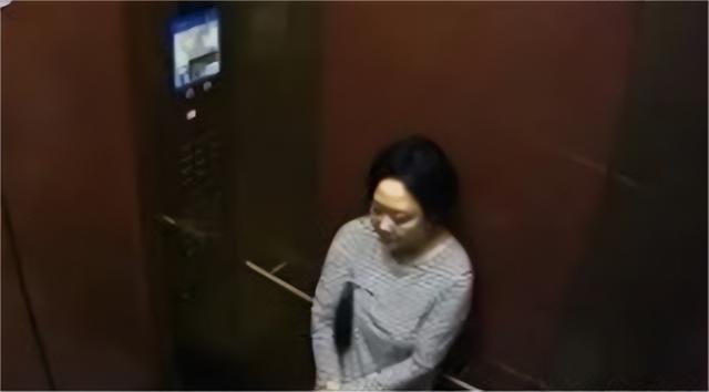 韩国财阀夫人李美兰:住地下室,被丈夫和儿女殴打,56岁跳江自尽