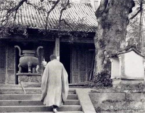 中国美女飞贼宋莲萍,独门轻功无人能敌,六米高台一跃而下