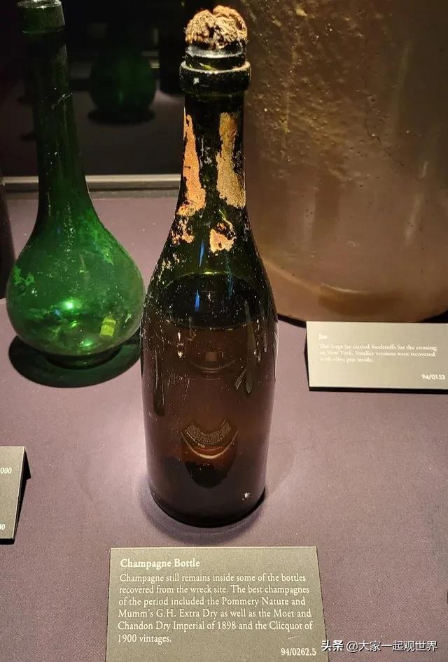 45张真实照片:日本貌美如花的黑帮女老大,完整的人类神经系统