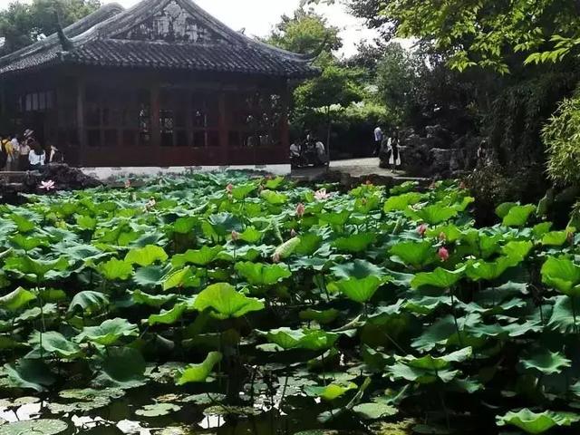 4大名妓,4大美女,4大才子,4大才女,太全了!涨知识了