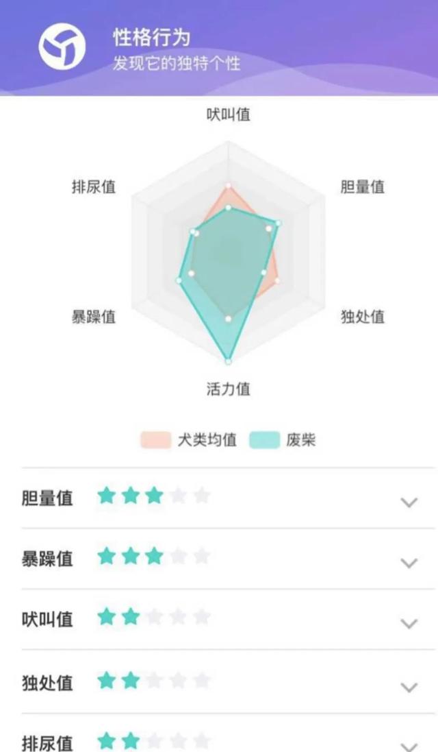 实不相瞒,我们这些养宠人士很想收到这样的礼物!