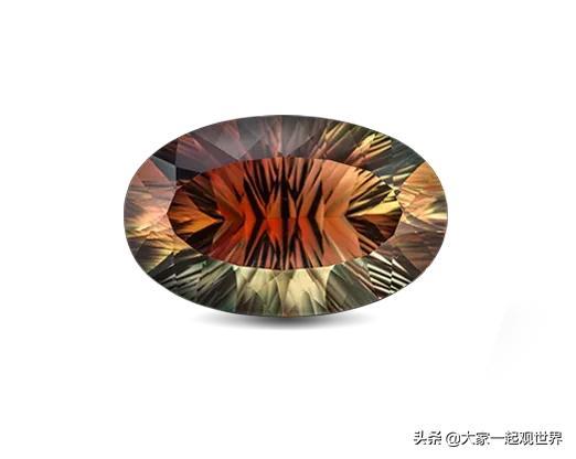 45张真实照片:日本貌美如花的黑帮女老大,完整的人类神经系统